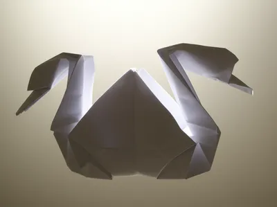 Illustration inflate - Image 1