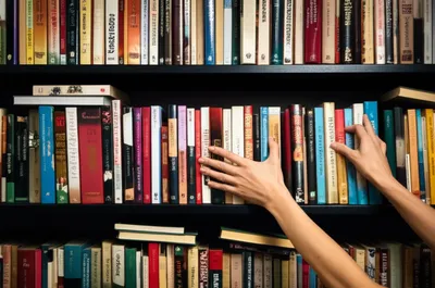 Illustration cataloging