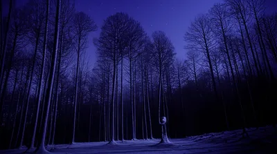 Illustration nights - Image 1