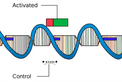 Illustration switch - Image 1