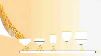 Illustration processing - Image 1