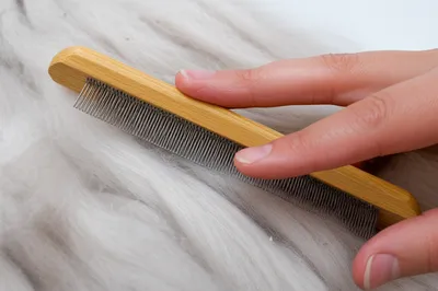 Illustration carding - Image 1