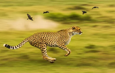 Illustration running - Image 1