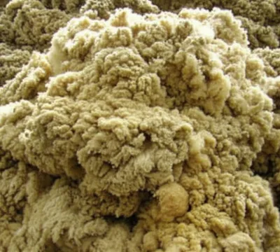 Illustration greases - Image 1