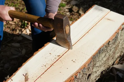 Illustration frow - Image 1