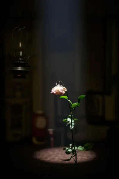 Illustration gaslights - Image 1