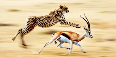 Illustration overtakes - Image 1