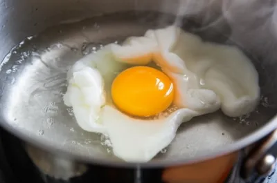 Illustration poaching - Image 1