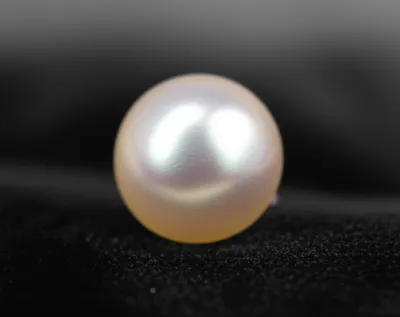 Illustration scum - Image 1