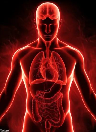 Illustration sepsis - Image 1