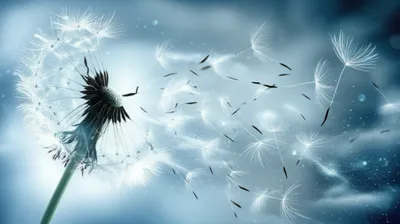 Illustration blow - Image 1