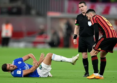 Illustration dives - Image 1