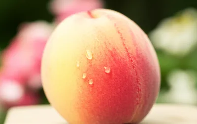 Illustration mild - Image 1