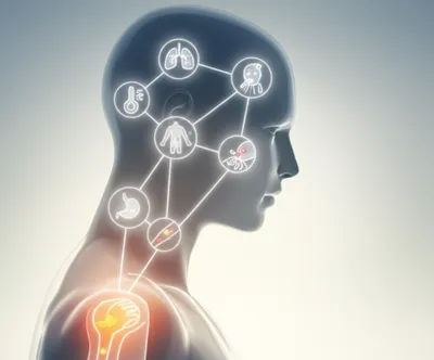 Illustration symptomatology - Image 1