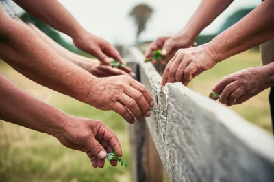 Illustration tacking - Image 1