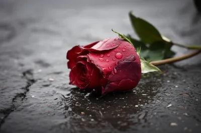 Illustration broke - Image 1