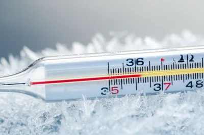 Illustration frozen - Image 1