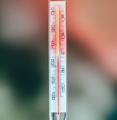 Illustration broken - Image 1