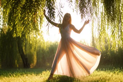 Illustration willowy - Image 1