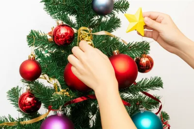 Illustration ornament - Image 1