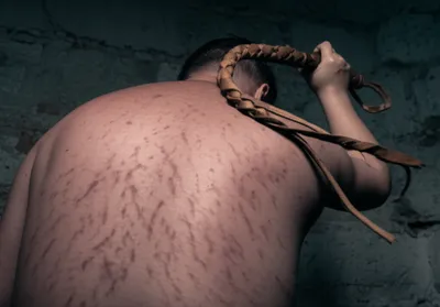 Illustration cowhide - Image 1