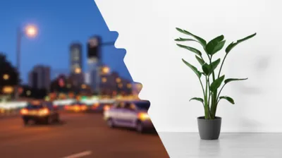 Illustration wipe - Image 1