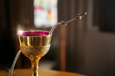 Illustration calamus - Image 1