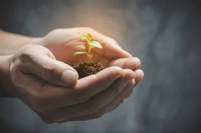 Illustration pressing - Image 1