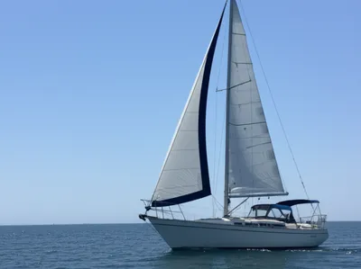 Illustration luffs - Image 1