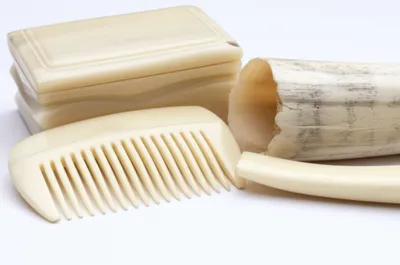 Illustration horns - Image 1