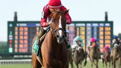 Illustration overlays - Image 1