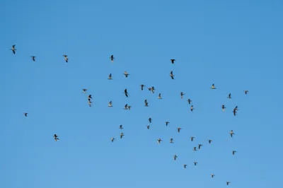 Illustration trending - Image 1