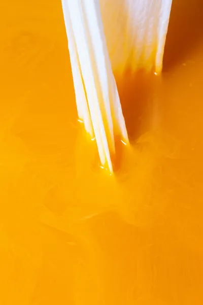 Illustration saffron - Image 1