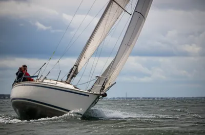 Illustration trips - Image 1