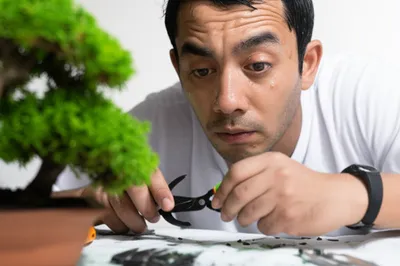 Illustration plied - Image 1