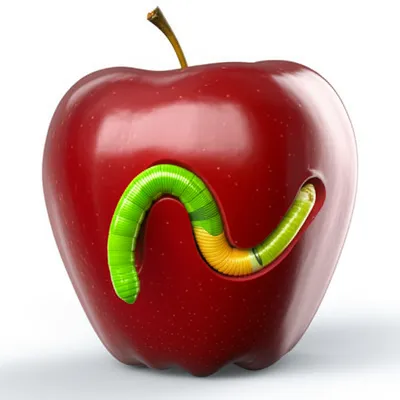 Illustration wriggled - Image 1