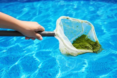 Illustration scummed - Image 1