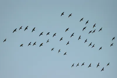 Illustration shifts - Image 1