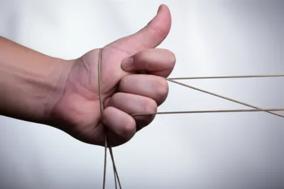 Illustration took - Image 1