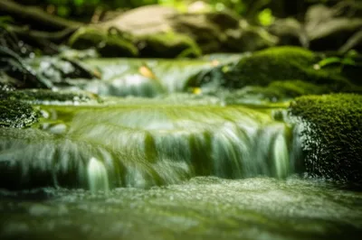 Illustration babbling - Image 1