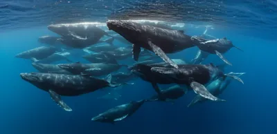 Illustration gam - Image 1