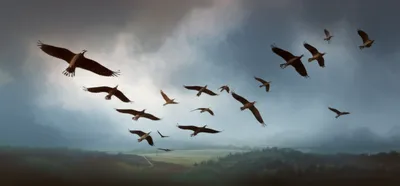 Illustration headcount - Image 1