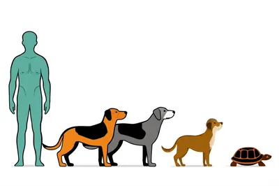 Illustration year - Image 1