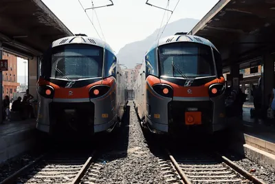 Illustration stopped - Image 3