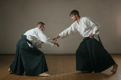 Illustration jujutsu