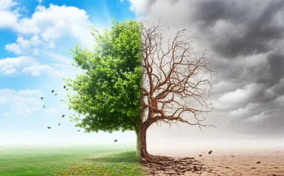 Illustration worse - Image 1