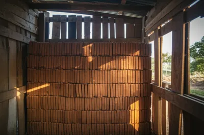 Illustration hake - Image 1