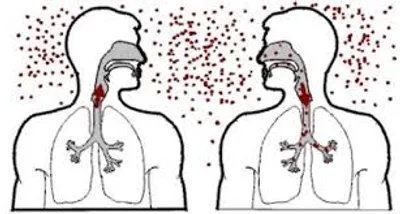 Illustration corrupt - Image 2