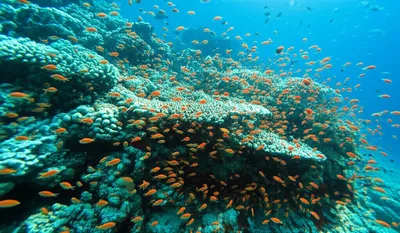 Illustration spawned - Image 1