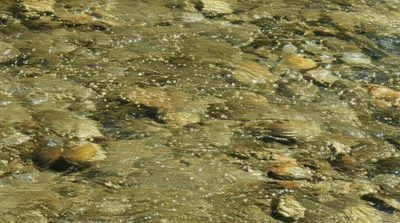 Illustration entrained - Image 1